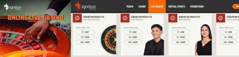 user-friendly online casino for roulette enthusiasts