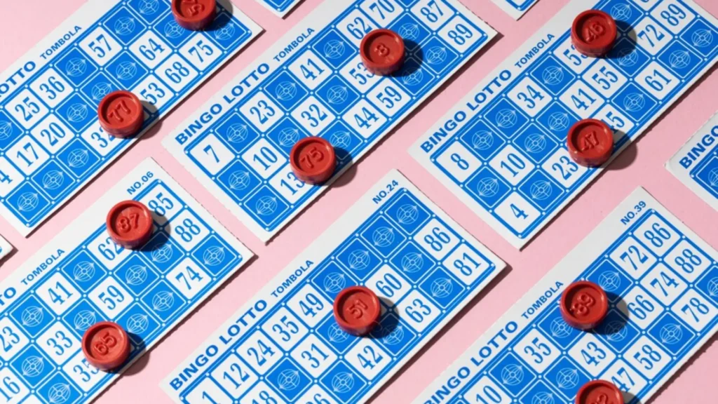 Bingo Game Development and Custom Solutions